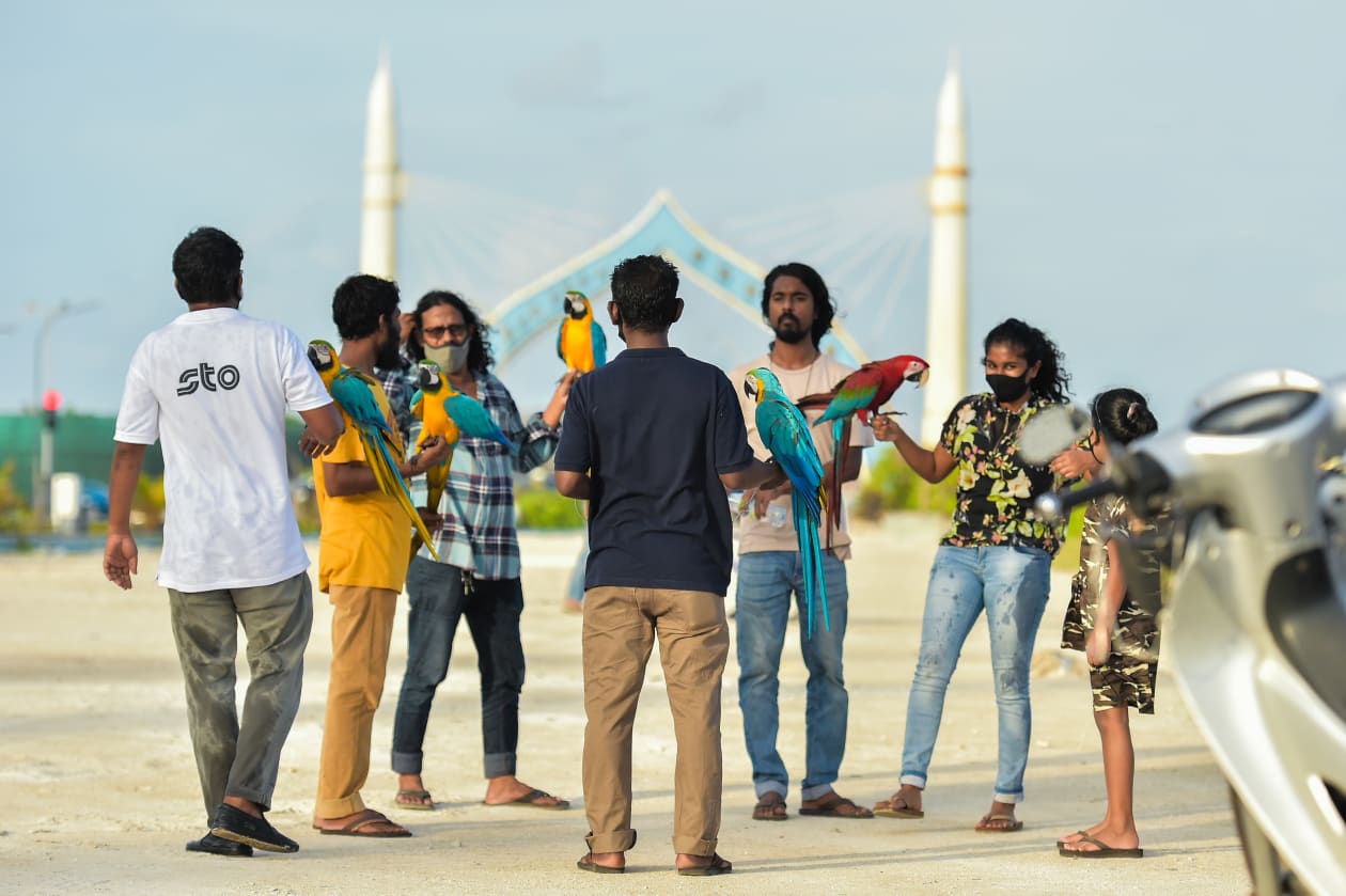 މާލޭގަައި ކޮވިޑްގެ ހާލަތު ގޯސްވެ އެޅި ހަރުކަށި ފިޔަވަޅުތަކަށް މިއަދު ލުއިދިނުމާއެކު، ގިނަ ބަޔަކު މަގުތަކަށް ނުކުތެވެ. ގިނަ ބަޔަކު ރަށްެރަށަށް ފުރަައިގެން ވެސް ދިޔައިރު ހިތްހަމަޖައްސާލުމަށް ފިނިބުރު ޖަހާލައި ކޮފީތަކަށް ވެސް މީހުން އެއްވި އެވެ... ފޮޓޯ: ހުސައިން ޝަޔާޙް / އަދަދު