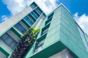 ސުކޫކު ދެއްކިތާ ހަ މަސް ނުވަނީސް އޭރު ހުރި މިންވަރަށް ދަރަނި އުފުލެނީ