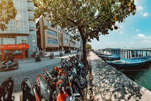 ބޮޑުތަކުރުފާނު މަގުގެ ބާކީބައި ފުޅާކޮށް ތާރުއަޅަން ހަވާލުކުރަނީ