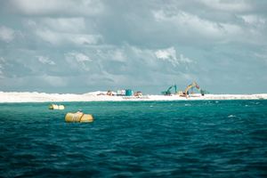 20 މަހުން ރަސްމާލޭގެ %11 ހިއްކުމަކީ ކާމިޔާބެއް ކަމަށް ބުނަނީ
