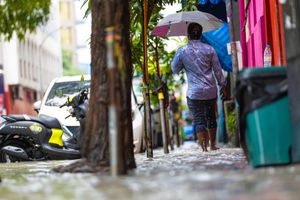 މިއަދު ކުރި ވިއްސާރައި 144 ގެއަކަށް ފެނުގެ އަސަރުކޮށްފި 
