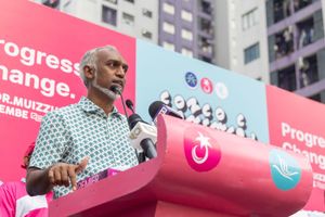 އެސްއީޒެޑް ގާނޫނު ތަންފީޒުކުރާނަން: މުއިއްޒު