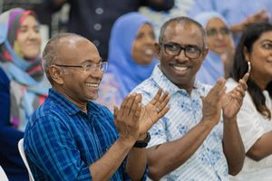 އެމްޑީޕީއާއި ޑިމޮކްރެޓްސްގެ ބޮޑު މަޝްވަރާއެއް