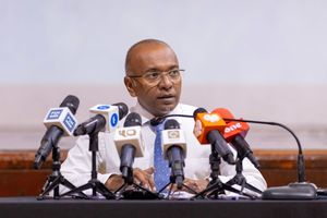 ސަރުކާރު މަގާމުތަކުގައި ޑިމޮކްރެޓްސް މެންބަރުން ތިބޭނެ: ހަސަން