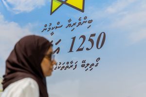 ގޯތި ރެޖިސްޓަރީ ދޫކުރަން ބުދަ ދުވަހު އަލުން ފަށަނީ