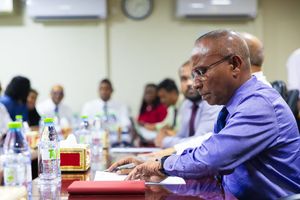 އެޗްއާރުސީއެމްގެ މެންބަރަކަށް ހަބީބު އައްޔަނުކުރަން ފާސްކޮށްފި