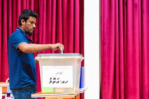 ޝާހު ނަން އަނބުރާ ގެންދިޔުމުން ޔަންގް ޑެމްސްގެ ލީޑަރަކަށް މާސިހު
