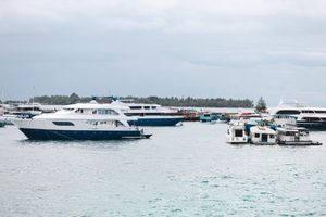 ޑްރެޖަރެއްގެ މަސައްކަތް ކުރަނިކޮށް އަނިޔާވި މީހަކު މަރުވެއްޖެ