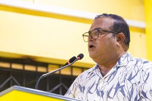 ދަ ޑިމޮކްރެޓްސް އާއި އެމްޑީޕީއަކީ އެއް ފިކުރެއް: އަސްލަމް