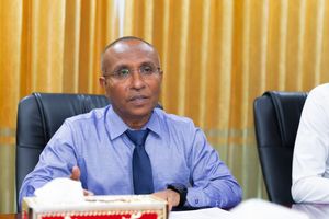 ހިއުމަން ރައިޓްސް ކޮމިޝަނަށް ހަބީބު އައްޔަންކުރަން ރުުހުން ދީފި