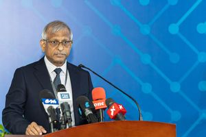 ގަވަރުނަރު ވަކިކުރުމާ މެދު ކޮމިޓީން މާދަމާ ގޮތެއް ނިންމަނީ