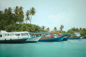 ފަތުރުވެރިން ގެންނަނީ ސަމާލުކަން ދޭންޖެހޭ ކަންކަން ބުނެ ނުދީ