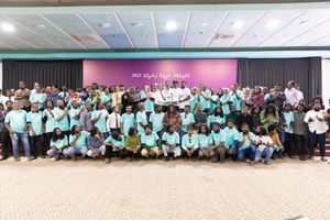 މުއްދަތު ހަމަވިއިރު, މަޖިލީހަށް ވާދަކުރަން ހުށަހެޅީ 381 ފޯމު