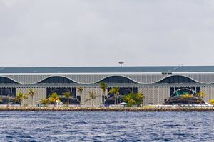 ވީއައިއޭގައި ނަރުދަމާ ޕްލާންޓެއް އަޅަން މޯހަން މުތާ އަށް