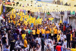 އެމްޑީޕީއަށް 20 އަހަރު ފުރުން ފާހަގަކުރަން މުޅި އަހަރަށް ބަހާލައިގެން ގިނަ ހަރަކާތްތަކެއް