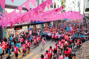 ހުލާސާކޮށް އިއްޔެ: ޕީޕީއެމް އުވައިލުމުގެ މަސައްކަތް ފެށުން