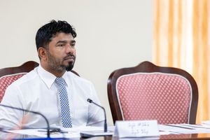 ދިއްްދޫ ބައެއް މުވައްޒަފުން "ވަކިކުރި" މައްސަލަ މަޖިލީހަށް