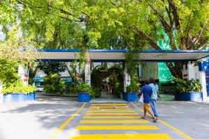 ADK successfully performs two new surgeries