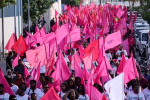 ޕީޕީއެމްގެ ނަމުގައި ސްކޭމް މެސެޖުތަކެއް ފޮނުވާ މައްސަލައެއް