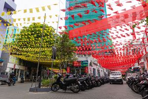 މާލޭގެ މަގުތަކުން ކެމްޕޭނު ދިދަފަތިތައް ނަގަން ފަށައިފި
