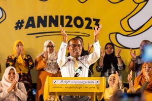 "ފިކުރެއްގެ ދިރުން" އިން ޕާޓީއެއް އުފައްދަނީ