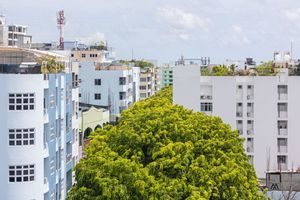 "ކުއްޔަށް ދޭ މީހުންނާއި ހިފާ މީހުންގެ ހައްގު ރައްކާތެރިވާން ޖެހޭ"