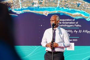 ފުށިދިއްގަރު މަޝްރޫއުގެ "ފޮރުވިފައިވާ ކަންކަން" އެމްޑީޕީން ބަލަނީ