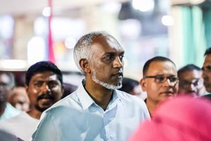 ރިޔާސީ ޓިކެޓު ހޯއްދަވަން އުޅޭ ވާހަކަ މުއިއްޒު ދޮގު ކުރައްވައިފި 