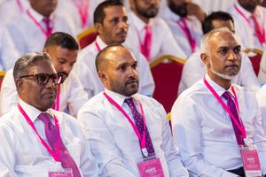 ޖަމީލުގެ ތުހުމަތެއް، ސުވާލެއް އަދި ނަސޭހަތެއް!