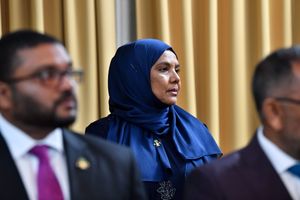 ޖެންޑާއިން މައުލޫމާތު ދީފި، 66 ސިޔާސީ މުވައްޒަފުން އެބަތިބި