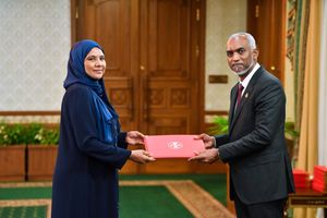 ޖެންޑާގެ ސިޔާސީ މުވައްޒަފުންގެ އަދަދު އެނގެން ނެތް ކަމަށް ބުނެފި