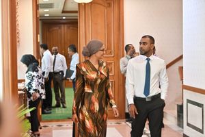 ވަޒީރެއްގެ އަތުގައި އެހެން ގައުމެއްގެ ރަށްވެހިކަން އޮތްތޯ ބަލަނީ