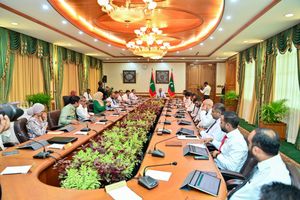 ކޮމެޓީން ފާސް ކުރީ މުޅި ކެބިނެޓަށް ރުހުން ދޭން ފެންނަ ކަމަށް 