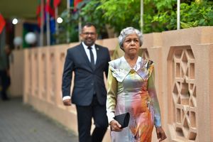 އަނީސާ، ހައުސިން ކޮމިޓީން އިސްތިއުފާ ދީފި
