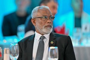ފުރަތަމަ ދައުރުގައި މަޖިލީހުން ފާސްކުރެވުނީ އެންމެ ނުވަ ބިލު