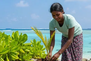 ކުނި ރަނަށް ބަދަލުކުރުން: ގަސް ހެއްދުމަށް އާ އުއްމީދެއް 