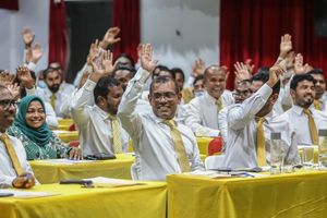 ނަޝީދު ވަކިކުރަން 45 އަށް ވުރެ ގިނަ މެމްބަރުން ސޮއިކޮށްފި