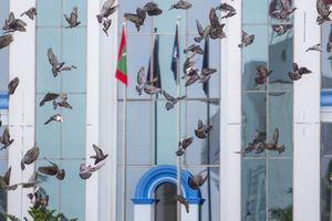 ރަހީނުކުރި މައްސަލާގައި ހައްޔަރުކުރި މީހާގެ ބަންދަށް 15 ދުވަސް