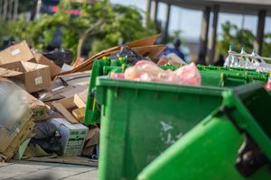 Key points about merged waste and electricity bills