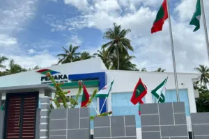 ސްޓެލްކޯގެ ދަށަށް ގެނައި ފެނަކައިގެ ބްރާންޗުތަކުން މީހުން ކަނޑަނީ