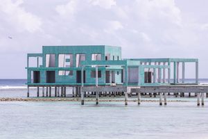 ވޯޓާ ތީމް ޕާކުގެ ބިން ސާފުކުރަން ވެސް ބޮޑު ހިޔާނާތެއް