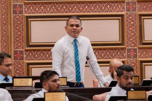 ދަފުތަރު ވަގުތުން ވަގުތަށް އުވައިލަންޖެހޭ: ޝާހިދު