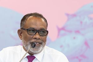 ރަނގަޅު ސަރުކާރެއް އެކުލަވައިލަން ޑިމޮކްރެޓްސްގެ ހިޔާލު ހޯދައިފި