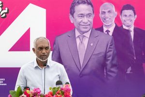 "ކައުންސިލް މިނިސްޓްރީ" ހެދުމުގެ ޕްލޭނަށް ގިނަ ބައެއްގެ ނުރުހުން