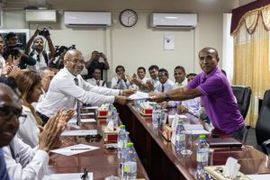 ހުލާސާކޮށް އިއްޔެ: "ދަ ޑިމޮކްރެޓްސް" އުފައްދަން ހުށަހެޅުން