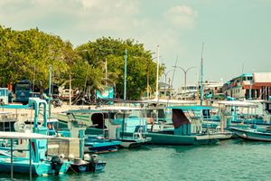 މުޅި ފުވައްމުލަކުން ކަރަންޓު ކެނޑިއްޖެ
