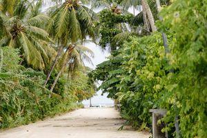 ނޮޅިވަރަމުގައި މަރުވީ ނަފްސާނީ ބައްޔަށް ފަރުވާ ހޯދި ޒުވާނެއް