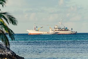 MVR 46 million owed to fishers will be paid before Eid: MIFCO