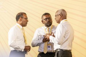 ނަޝީދަށް ފައްޔާޒު ރައްދު ދެއްވައިފި