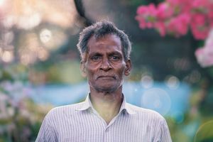 ހައެއްކަ ގަހުން ފެށި މަސައްކަތެއް، މިހާރު ބޮޑު ބަގީޗާއެއް!